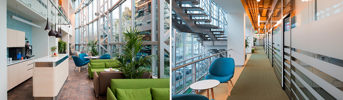 �������ǲ���(�й���)���Ź���